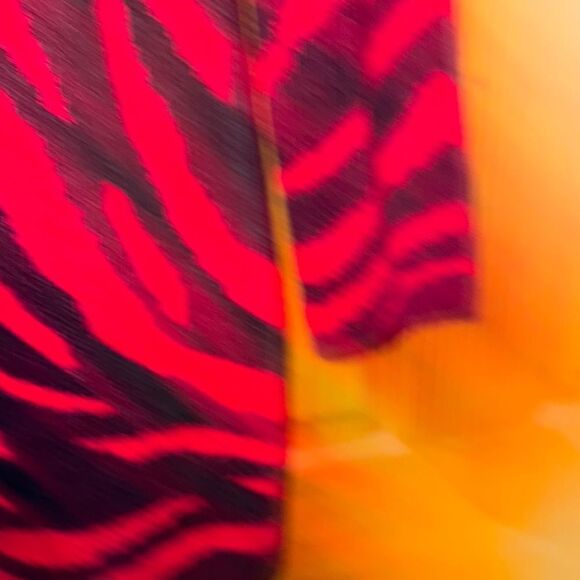 DENNIS BASSO  Red and Black Zebra Print Jacket - Picture 6 of 7